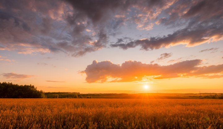 sunset over prairie