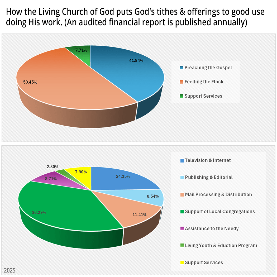 pie charts