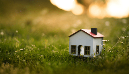 tiny toy house sitting in grass